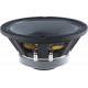 CELESTION FTX1025