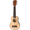 PARKSONS UK21C