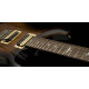 PRS SE Custom 24 (Black Gold Burst)