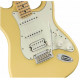 FENDER PLAYER STRATOCASTER HSS MN BCR