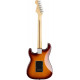 FENDER PLAYER STRATOCASTER HSS PLUS TOP PF TBS