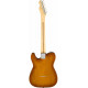 FENDER AMERICAN PERFORMER TELECASTER RW HONEY BURST