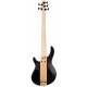 CORT C5 Plus ZBMH (Open Pore Tobacco Burst)