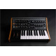 MOOG SUBSEQUENT 25