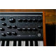 MOOG SUBSEQUENT 25