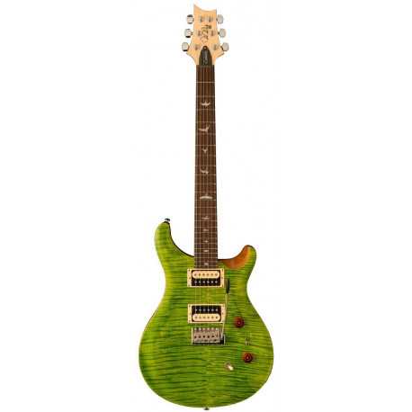 PRS SE Custom 24-8 (Eriza Verde)