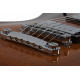 SCHECTER TEMPEST CUSTOM FADED VINTAGE SUNBURST FVSB