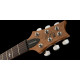 PRS SE Santana Abraxas Limited Edition