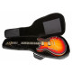 ROCKBAG RB20607 Premium Plus - Hollow Body Electric Guitar