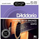 D"ADDARIO EXP13