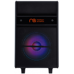 MAXIMUM ACOUSTICS MUSICBAND.100