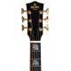 Sigma SG Series GJR-SG300 (Fishman Sonitone) з м'яким кейсом