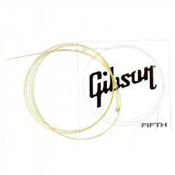 Gibson SEG-700ULMC Fifth Single String Acoustic 036