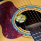 JOYO GHD-01 Guitar Humidifier