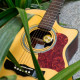 JOYO GHD-01 Guitar Humidifier
