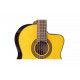 TAKAMINE GC5CE NAT