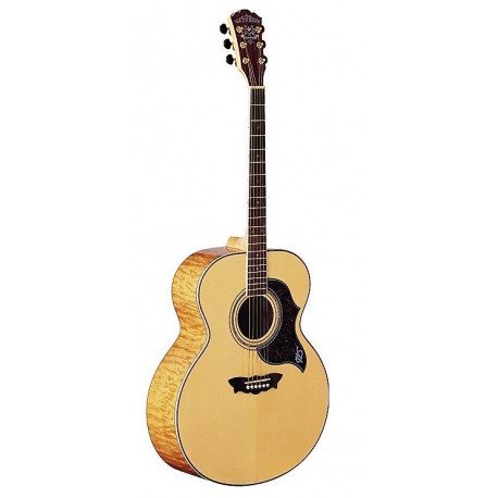 WASHBURN J28 SDL