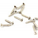 FENDER PICKGUARD/VINTAGE BRIDGE COVER SCREWS