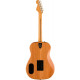 FENDER HIGHWAY SERIES DREADNOUGHT NATURAL