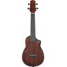 IBANEZ AUC14 OVL