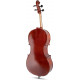 GEWApure Cello HW 4/4 (PS403.211)