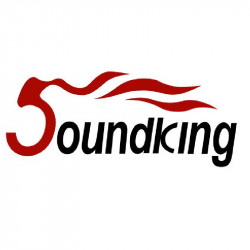 SOUNDKING Power amp for AA3500C