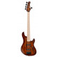 CORT GB-Fusion 5 (Antique Brown Burst)