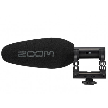 ZOOM ZSG-1