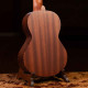 Ortega Travel RGL5 (Spruce/Sapele Natural)