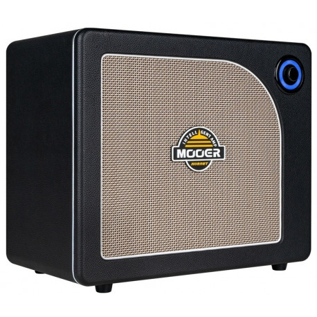 MOOER Hornet 30i (Black)