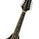 RICHWOOD RMA-60-VS