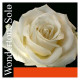 Pirastro Wondertone Solo 312221 4/4