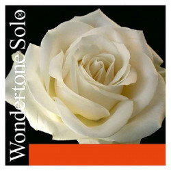 Pirastro Wondertone Solo 312221 4/4