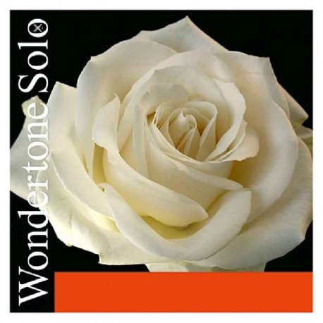 Pirastro Wondertone Solo 312221 4/4