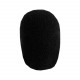 BEHRINGER B5