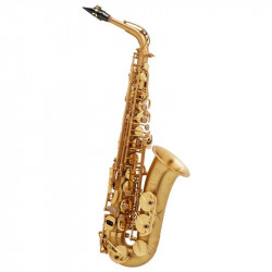 Henri Selmer Paris III BGG GO