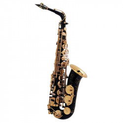 Henri Selmer Paris SA 80 II NG GO
