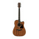 IBANEZ AW54CE OPN