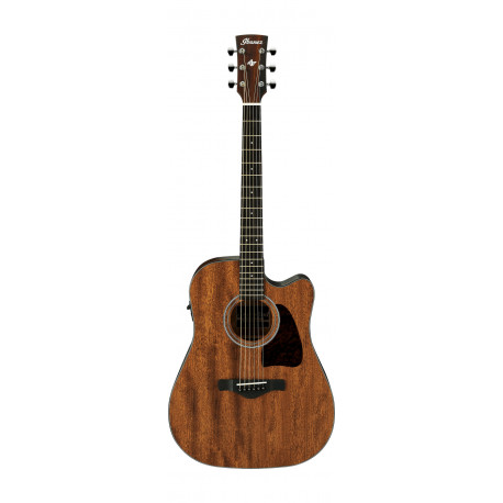 IBANEZ AW54CE OPN