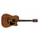 IBANEZ AW54CE OPN