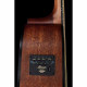 IBANEZ AW54CE OPN
