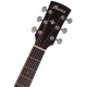 IBANEZ AW54CE OPN