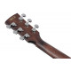 IBANEZ AW54CE OPN