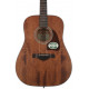 IBANEZ AW54 OPN