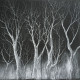 LP Radiohead: THE KING OF LIMBS