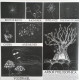 LP Radiohead: THE KING OF LIMBS