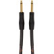 ROLAND RICG25