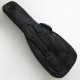 FGN NTE100MAH-VNT Neo Classic (Vintage Natural)