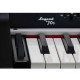 Viscount Legend '70s Compact