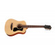 GUILD Travel Spruce